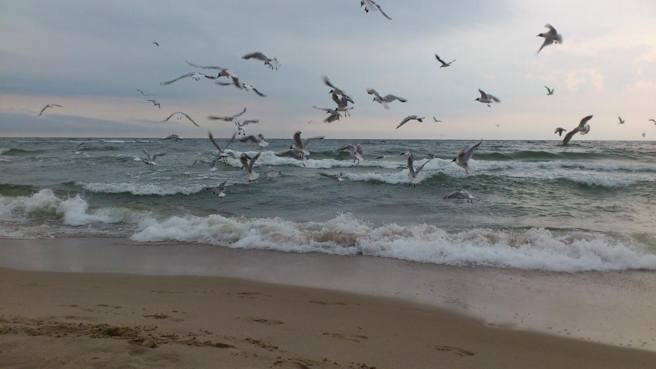 Pokoje Goscinne Fala Pobierowo Kültér fotó